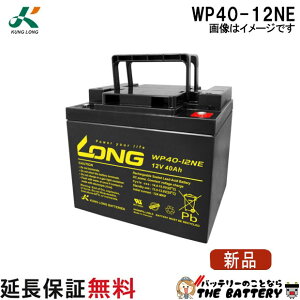 WP40-12NE �����O�o�b�e���[ KUNG LONG �݊� HC 38-12A / SER38-12 �d���Ԉ֎q �Y�Ɨp