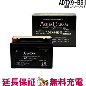 y撅1011/4i20`jő2000~OFFN[|zADTX9-BSII oCN ANAh[S[hobe[ ݊ YTX9-BS GTX9-BS FTX9-BS KTX9-BS YTX9-BS RBTX9-N DTX9-BS ATX9-BS CTX9-BS BTX9-BS STX9-BS PTX9-BS