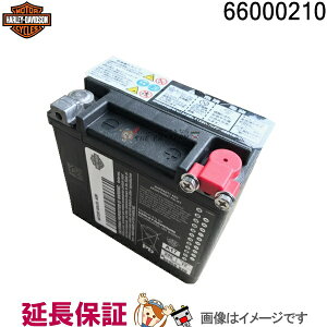 HD 66000210  66010-82B n[[_rbg\  AGM oCNobe[ ֗p 6ۏ 1980N`96N FLHR FLHT FLT