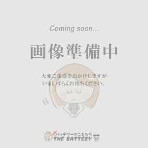 【先着10名★10/24(20時〜)最大2000円OFFクーポン】180/80-14 TR4 チューブ シンコー ストレートバルブ バイク用