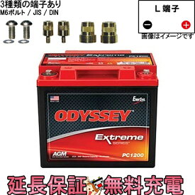 PC1200 自動車 バッテリー ODYSSEY オデッセイ バッテリー スタンダード AGM42L