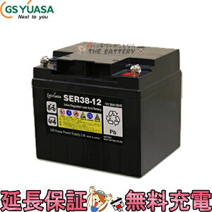 y6ۏؕtzSER38-12 ({gibg^Cv) GS YUASA `dԗpَ~dr