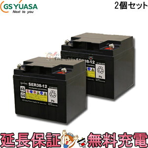 y撅1011/4i20`jő2000~OFFN[|zy2Zbg ۏؕtzSER38-12 ({gibg^Cv) GS YUASA `dԗpَ~dr