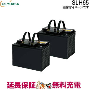 y撅1011/20i20`jő2000~OFFN[|z2Zbg SLH65 SLHV[Y GS YUASA YƗp TCNobe[ ~dr Ɣd ݊ SEB65 EB65