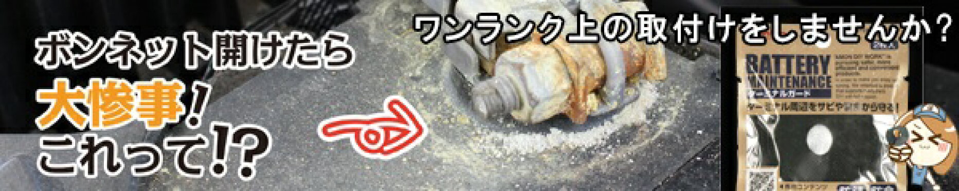 エーモン工業 ターミナルガード No.8870