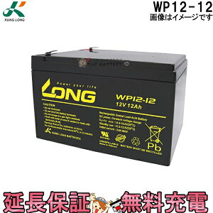 WP12-12 Oobe[ KUNG LONG ݊ HZ12-12 12SN12 NPH12-12