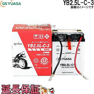 y撅1011/20i20`jő2000~OFFN[|zYB2.5L-C-3 oCN obe[ GS YUASA W[GX AT ֗p obe[ I[vxg J^