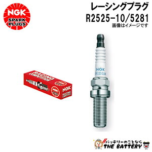 NGK R2525-10 ���[�V���O�v���O 5281