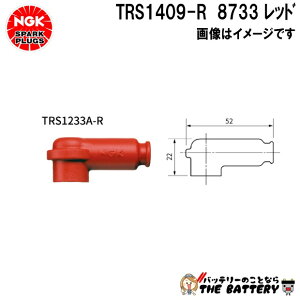 NGK TRS1409-R vOLbv 8733 bh