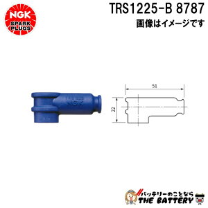 NGK TRS1225-B vOLbv 8787 u[