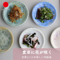 楽天市場】陶あん セット 銘々皿の通販