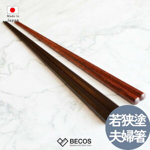 ܂ ዷh vw 23cm 21.5cm Jg[ Mtg   | VR d TeB[l h | ubN bh a { Y El | CO yY _ ig jp 