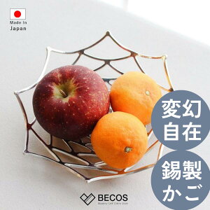 \  _A G Mtg   |  21.5cm Vo[  aG { Y El | CO yY _ M t[c  CeA}bg ԕr َqM AN