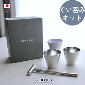 \ ۂ 2RZbg ȖڃLbg  Mtg   | 100% 60ml Vo[  aH { Y El | CO yY _ { Ē M  ӎ  j | 