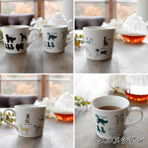 ۃؓ Z   }OJbv aH Mtg    | 300ml zCg () R[M[Xsbc _VA { Y El | CO yY _ eB[Jbv R[q