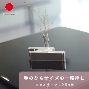 ֑} Hana Kasumi (Short) p{bNX ԕr Mtg   쏊 A~|8cm Vo[ H { Y El|CO yY _  t[x[X IuWF| 