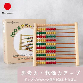 【名入れ】播州 100玉カラーそろばん 知育玩具 ギフト おしゃれ 高級 | 木製 | 日本製 国産 職人 播州算盤工芸品協同組合 | 海外 手土産 | 九九 足し算 引き算 計算 学習 | 子供 誕生日 クリスマス 入園祝い 節句祝い 出産祝い プレゼント