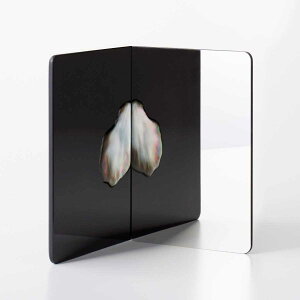 y㗆z쑺 X^h~[ Vison-Visu_small (L)