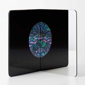 y㗆z쑺 X^h~[ Vison-Visu_big (鸊L)