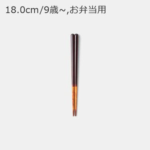 �����܂��� �ዷ�h �� �a�� �J�g�����[ �M�t�g ������� ���� | �V�R�� �� ���h�� 13cm 15cm 16cm 18cm 21cm 23cm | �u���E�� �a�� ���{�� ���Y �E�l | �C�O ��y�Y ���_�� ���i�g�� ���w�� �j���p ����