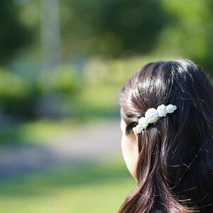 yob^z󑊉ؑŏo Vo[ | 