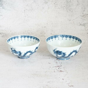 �y�v�w���q�z�� | �O����� | ���ˏ��R�q