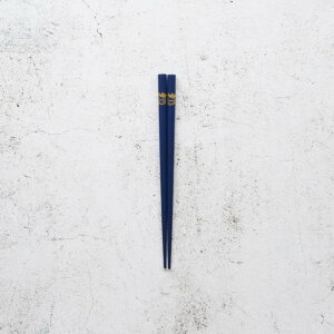 y֓邵 z{K쎽X x ǂ   (1V, )