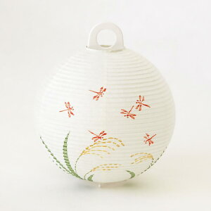 yCgEƖz^[Zbg g{ | 򕌒 | I[L