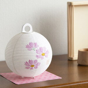 yCgEƖz^[Zbg RXX | 򕌒 | I[L