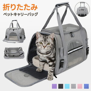 yViJ10%offzybgL[obO ybgobO ybg L[ L  ˂  ܂肽 Ck lR s a@ ʉ@ 2way yʂo y ЊQ  ybgxbh bV