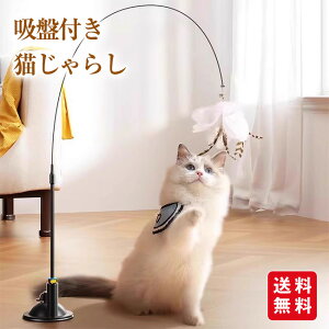 yViJ10%offzzՕtL炵 ˂炵  ނ   OȂ  H  t z H  ˂炵