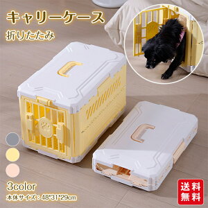 yViJ10%offzL[P[X ybgp ܂肽 p Lp Rei vX`bN ^ hAbN bN ړp  s a@ ʉ@