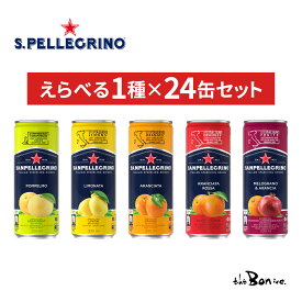 【大阪万博出展品】【24缶セット】サンペレグリノ スパークリングフルーツベバレッジ 330ml 1種×24缶 | 常温宅急便 |