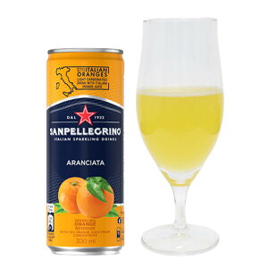 y㖜oWizy24ʃZbgzTyOm Xp[NOt[cxobW 330ml 1×24 | 퉷} |