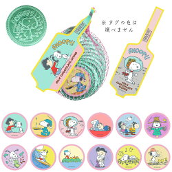 楽天市場 ４個セット ネット入りコインチョコ クリックポスト配送 クリスマス ミニオンズ ミニー プリンセス トイストーリー アナ雪 スヌーピー トーマス チョコレート プレゼント キャラクター ディズニー 子供 子ども The Bon Inc 楽天市場店