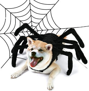 ybg nEB RXv XpC_[X[c ybgp L  RX`[  ʔ nEB ߑ  킢 q ybgpi Mtg v[g p[eB[ 