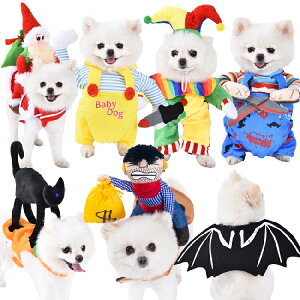 ybg L  nEB RXv ybgp pvL sG C sjAvg Z[[ }g L[ JE{[C T^N[X ʔ 킢  ybg RX`[