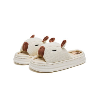 Xbp p ėpXbp tp ėp  [V[Y  Jbv w  fB[X Y l ăXbp ꂢ 􂦂 yA ~ [T_ 