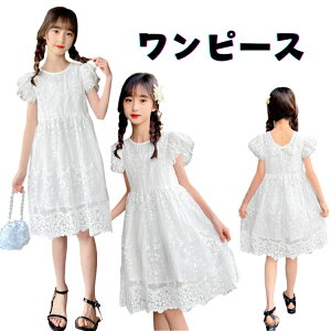 s[X  ̎q   q [X    n p[eB[ ėp s[X Pn G w ʊw ؍   T}[ 120 130 140 150 160