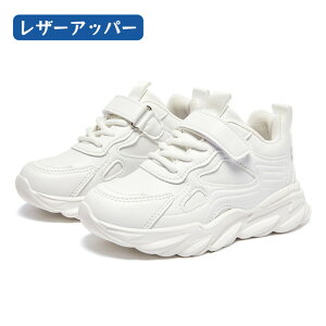 qXj[J[ }WbNe[v  zCg qC _XV[Y nCJbg w ^ X|[cV[Y KC  ʋC _X\ j̎q ̑  ₷ Ȃ L