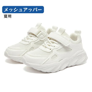 qXj[J[ }WbNe[v  zCg qC _XV[Y nCJbg w ^ X|[cV[Y KC  ʋC _X\ j̎q ̑  ₷ Ȃ L