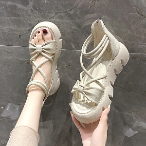 OfBG[^[T_ X|[c T_  fB[X T_ t ₷ AEghA r tbg T_ C 5.5cm T_ V[Y X|T T}[T