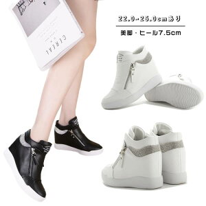 Xj[J[ fB[X  q[7.5cm nCJbgXj[J[ Cq[ EFbWq[ jOV[Y fB[XV[Y [XAbv fB[XXj[J[ CXg[ O