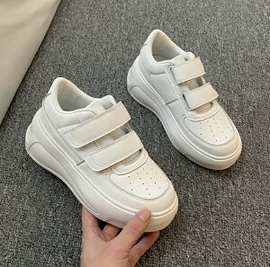 Xj[J[ Xj[J[ fB[X R[gXj[J[ vbgtH[ ₷ Ȃ Xj[J[ xN CRȂ ₷ EH[LOV[Y V[Y ^C 