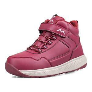 Xm[u[c fB[X h h h g Xj[J[ N ~C ȂC hu[c nCJbg  ᓹ ʋ ʊw AEghA    kC