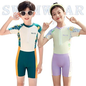 I[C  LbY  j̎q ̎q w  C v[ Cp Abv UVJbg tBbglX q w w ݂  ێ XCEFA ][g  IW 