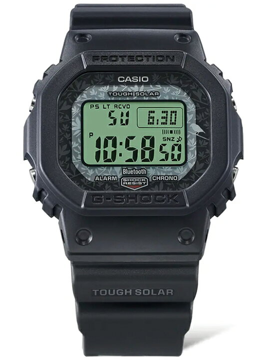 楽天市場】G-SHOCK チャールズ・ダーウィン財団 コラボレーション  