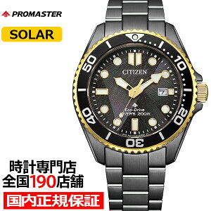 �s6��4�������t�V�`�Y�� �v���}�X�^�[ �}�����V���[�Y �G�R�E�h���C�u 50���N�L�O ���胂�f�� LIGHT in BLACK BN0264-53E �����Y �r���v �\�[���[