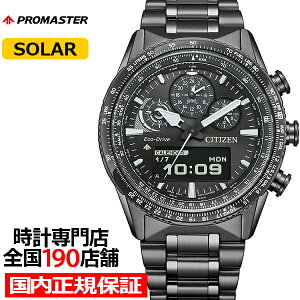 �V�`�Y�� �v���}�X�^�[ �X�J�C�V���[�Y �A�i�f�W �p�C���b�g�E�I�b�` JV2005-58E �����Y �r���v �\�[���[ �O���[ MIP�t������