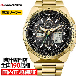 �s9��10�������t�V�`�Y�� �v���}�X�^�[ �X�J�C�V���[�Y Eco-Drive 50���N���胂�f�� �X�J�C�z�[�N JY8144-50E �����Y �r���v �\�[���[ �d�g �A�i�f�W �S�[���h